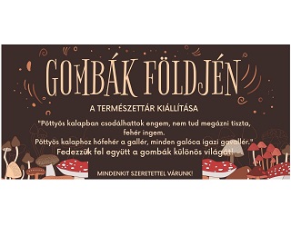 GOMBÁK FÖLDJÉN 