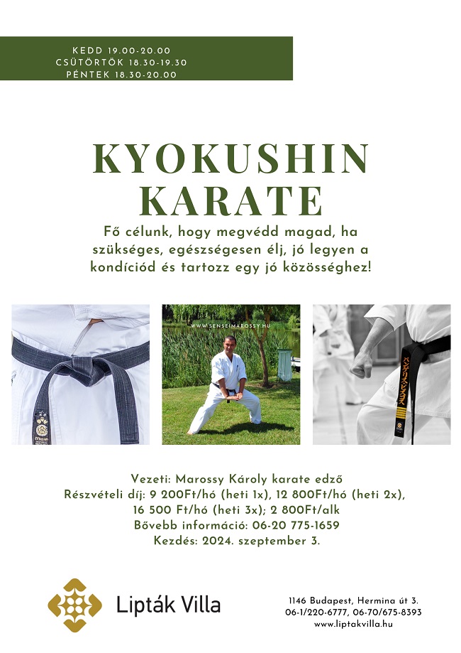 FELNÕTT KYOKUSHIN KARATE